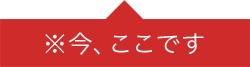 今、ここです